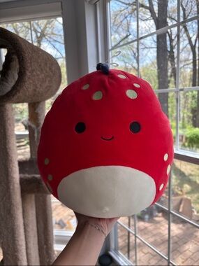 NWOT FTM Dolan the red dino 🦕 dinosaur squishmallow 11in